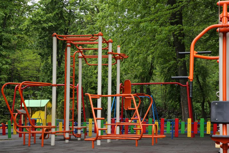 Monkey Bars Installation in Denver, CO